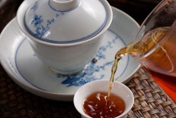 bcfb0d8a-bc2f-423c-9689-0cca95a1eb58.png_500xa