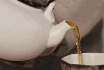 f28b19cb-051c-4c03-8b04-302c8d79167e.png_366xa